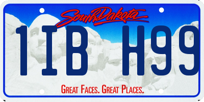 SD license plate 1IBH99
