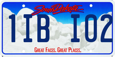 SD license plate 1IBI02