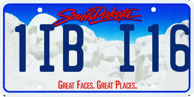 SD license plate 1IBI16