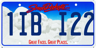 SD license plate 1IBI22