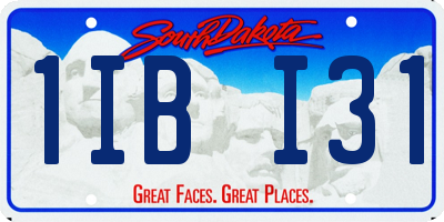 SD license plate 1IBI31