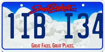 SD license plate 1IBI34
