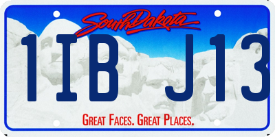 SD license plate 1IBJ13