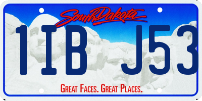 SD license plate 1IBJ53
