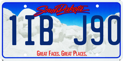 SD license plate 1IBJ90