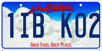 SD license plate 1IBK02