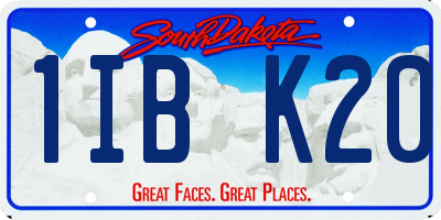 SD license plate 1IBK20