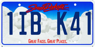 SD license plate 1IBK41