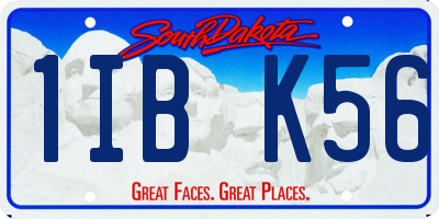 SD license plate 1IBK56