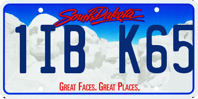 SD license plate 1IBK65