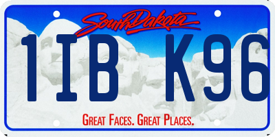 SD license plate 1IBK96