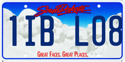 SD license plate 1IBL08