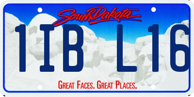 SD license plate 1IBL16