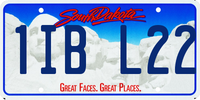 SD license plate 1IBL22