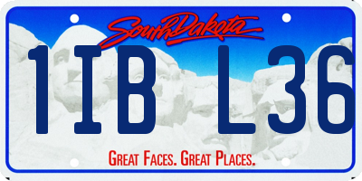 SD license plate 1IBL36
