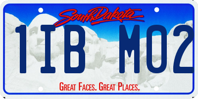 SD license plate 1IBM02
