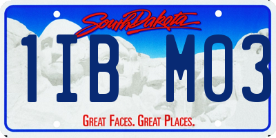 SD license plate 1IBM03