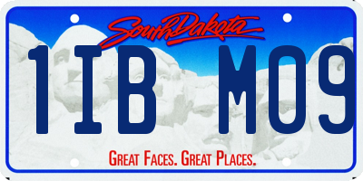 SD license plate 1IBM09