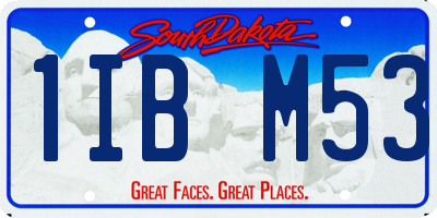 SD license plate 1IBM53