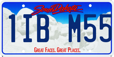 SD license plate 1IBM55