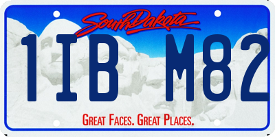 SD license plate 1IBM82