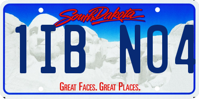 SD license plate 1IBN04