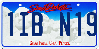 SD license plate 1IBN19