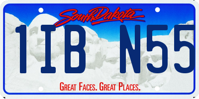 SD license plate 1IBN55