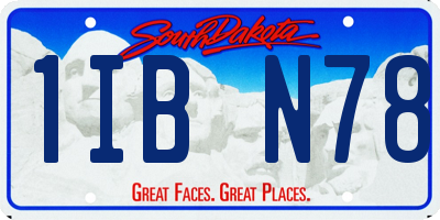 SD license plate 1IBN78