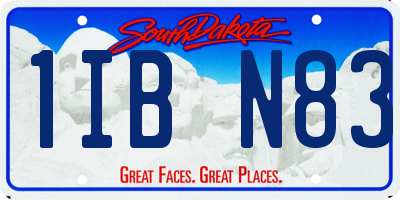 SD license plate 1IBN83