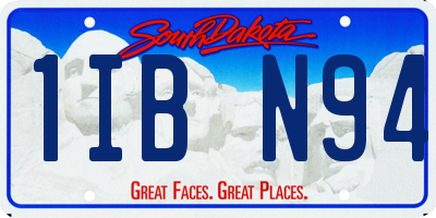 SD license plate 1IBN94
