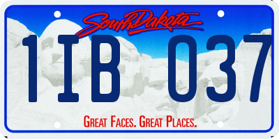 SD license plate 1IBO37