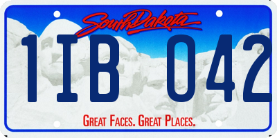 SD license plate 1IBO42