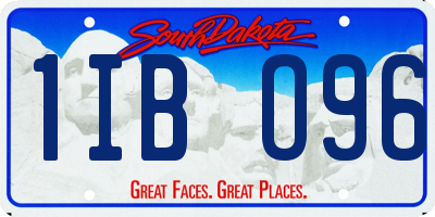 SD license plate 1IBO96