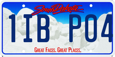 SD license plate 1IBP04