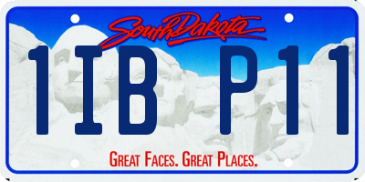 SD license plate 1IBP11