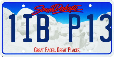 SD license plate 1IBP13
