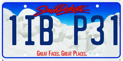 SD license plate 1IBP31