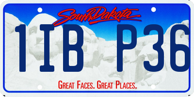 SD license plate 1IBP36