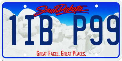 SD license plate 1IBP99