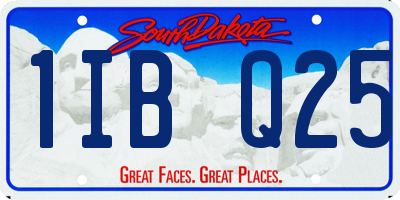 SD license plate 1IBQ25