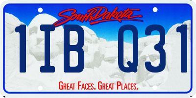 SD license plate 1IBQ31