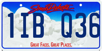 SD license plate 1IBQ36