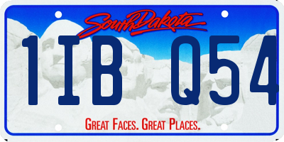 SD license plate 1IBQ54