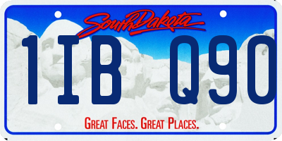 SD license plate 1IBQ90
