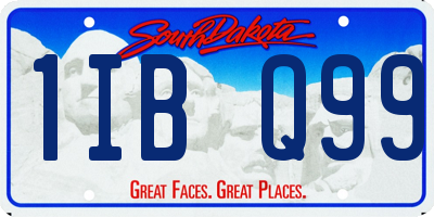 SD license plate 1IBQ99