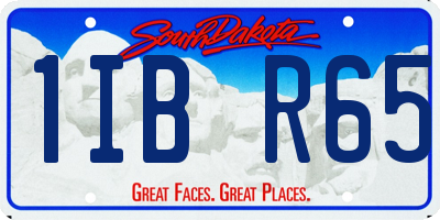 SD license plate 1IBR65