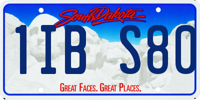 SD license plate 1IBS80