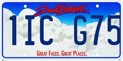 SD license plate 1ICG75