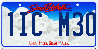 SD license plate 1ICM30
